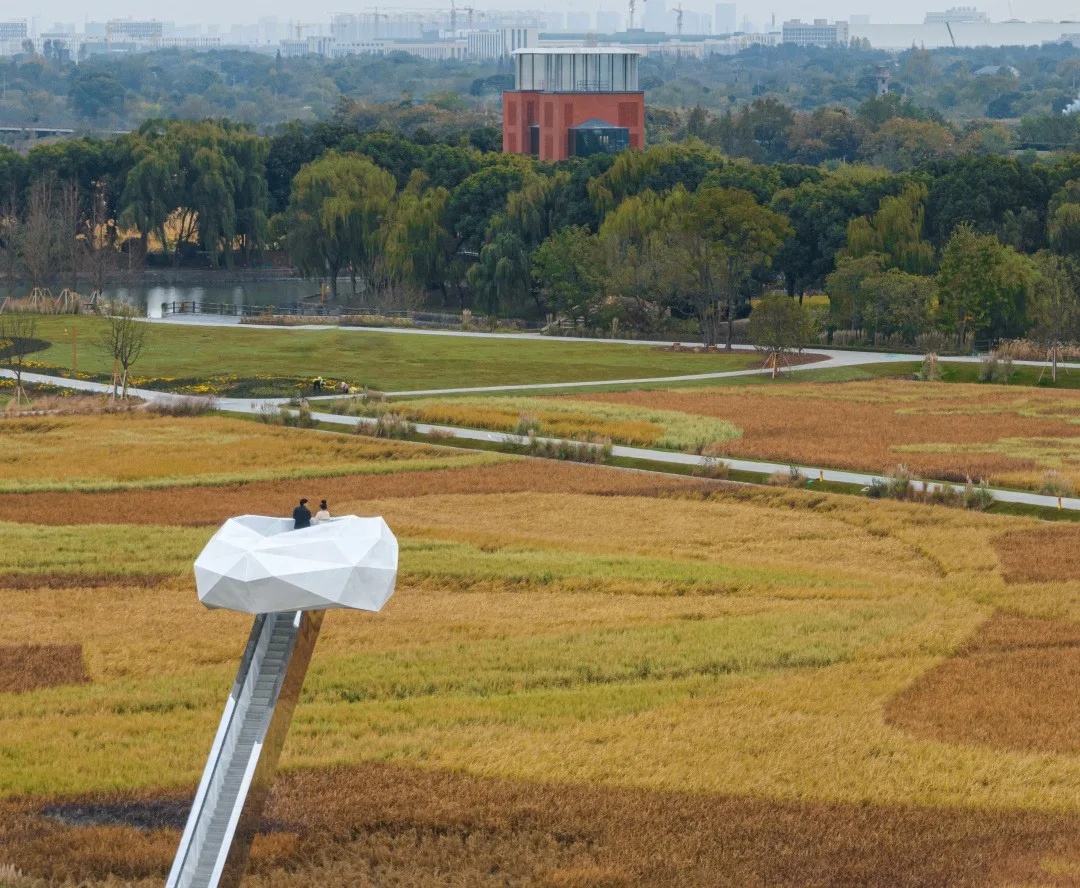 BIM Architecture | Local Practice of Rural Micro Renewal/Aoming Studio, Shanghai Jiao Tong University