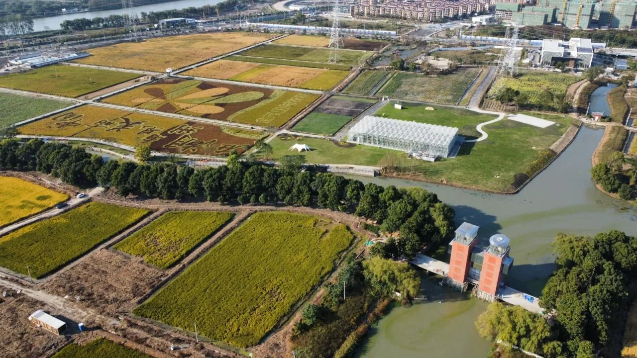 BIM Architecture | Local Practice of Rural Micro Renewal/Aoming Studio, Shanghai Jiao Tong University
