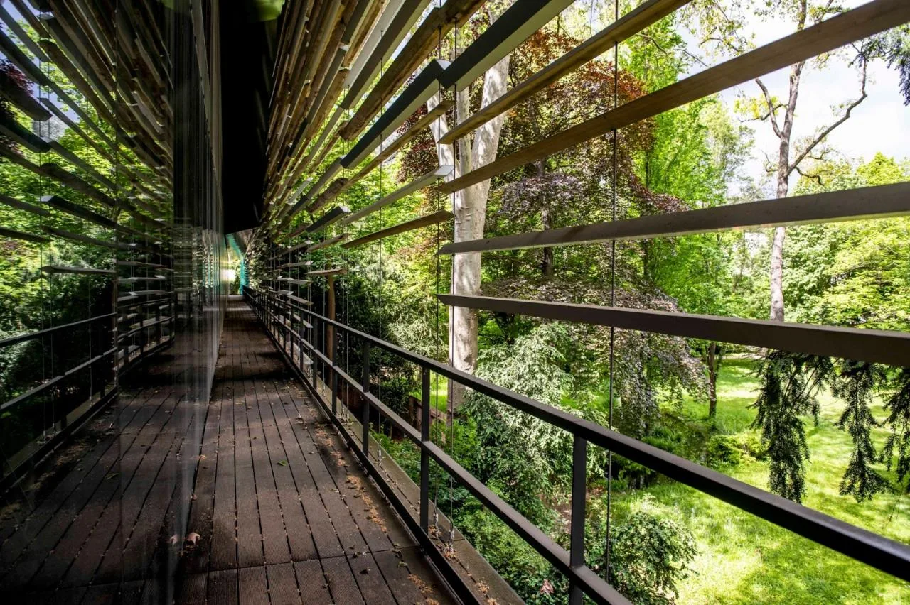 BIM Architecture | Albert Kahn Museum/Kengo Kuma Architecture Urban Design Firm