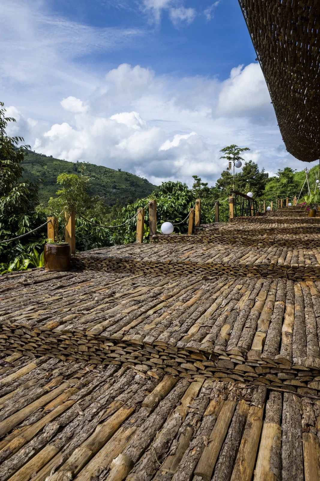 BIM Architecture | Faint Look at the Sky, Ruan's Coffee/The Bloom
