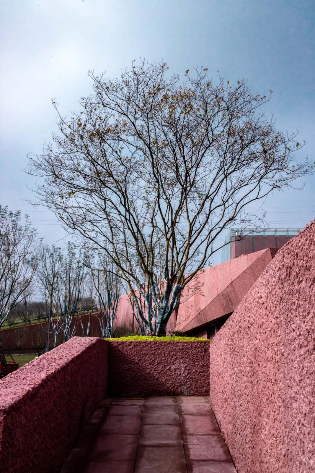 BIM Architecture | Jiang Jie's Hometown Red Education Base/Sichuan Provincial Institute of Architectural Design and Research