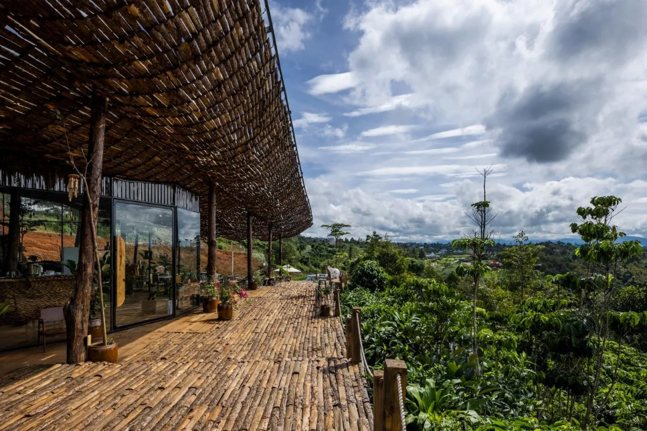 BIM Architecture | Faint Look at the Sky, Ruan's Coffee/The Bloom