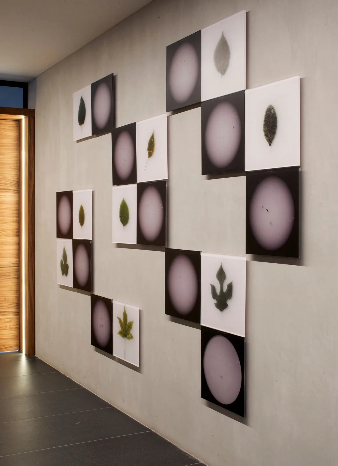 BIM Architecture | AEME Commercial Building/Paz Arquitectura