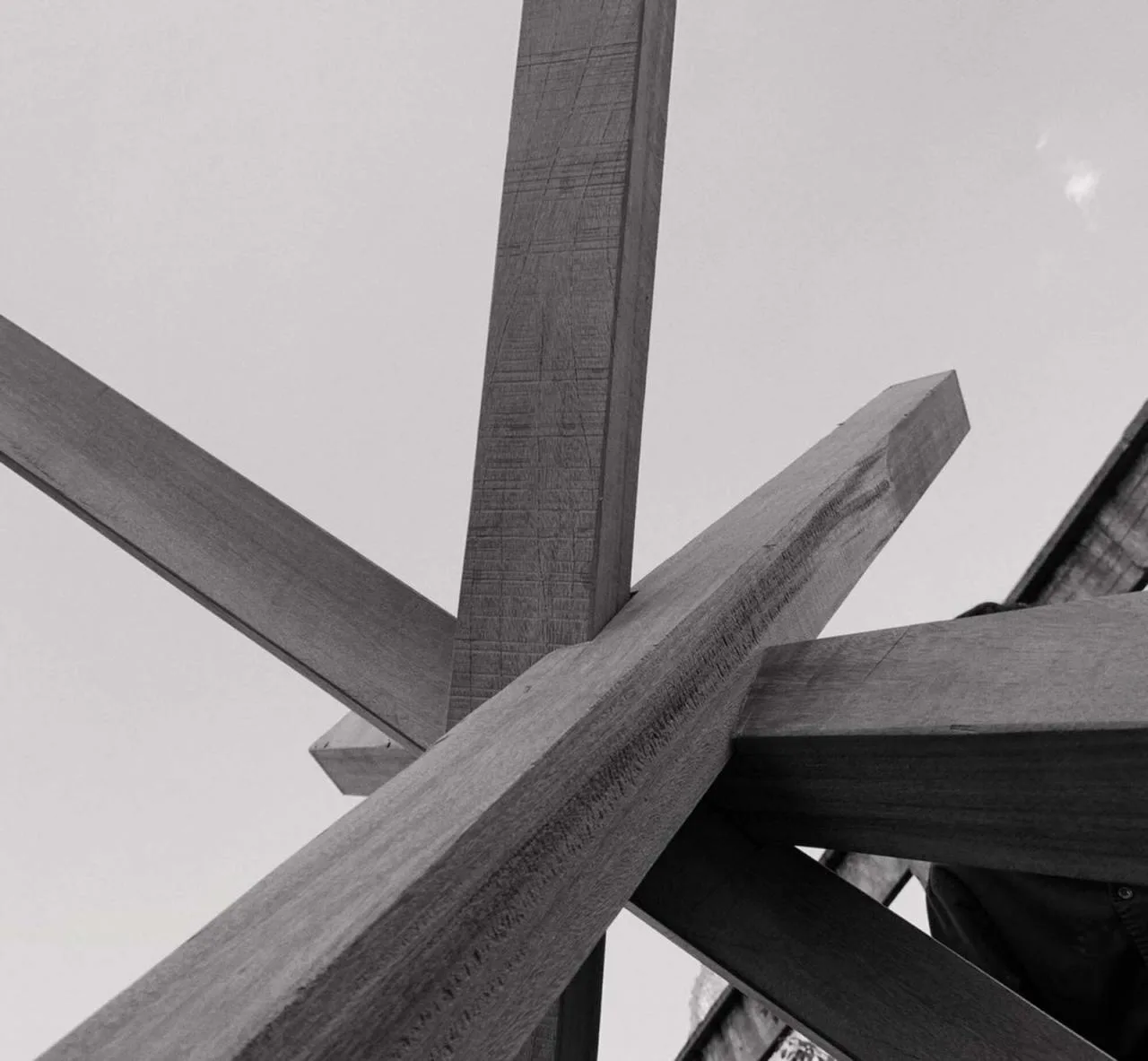 BIM Architecture | Entering the Wood Fire Pond/Guo Liaohui Studio