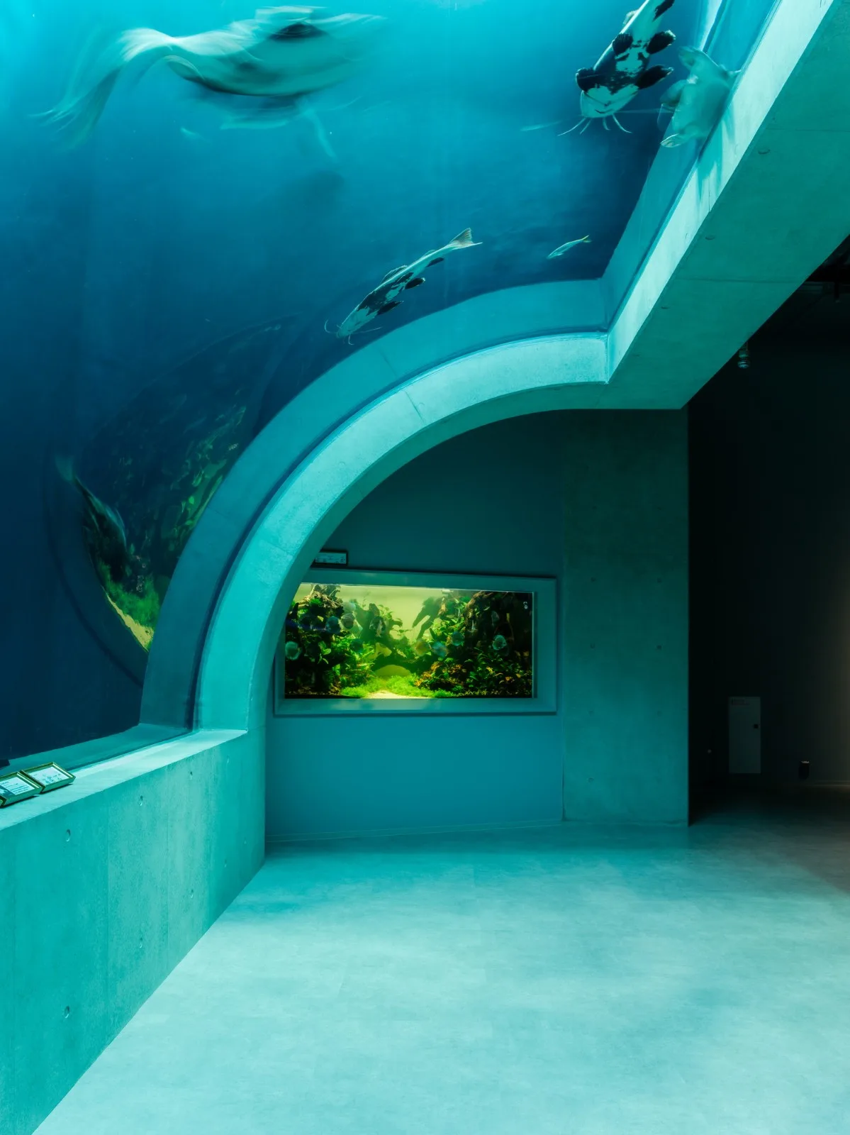 BIM Architecture | Kobe Port Museum, Sea Sand Concrete/Dacheng Construction