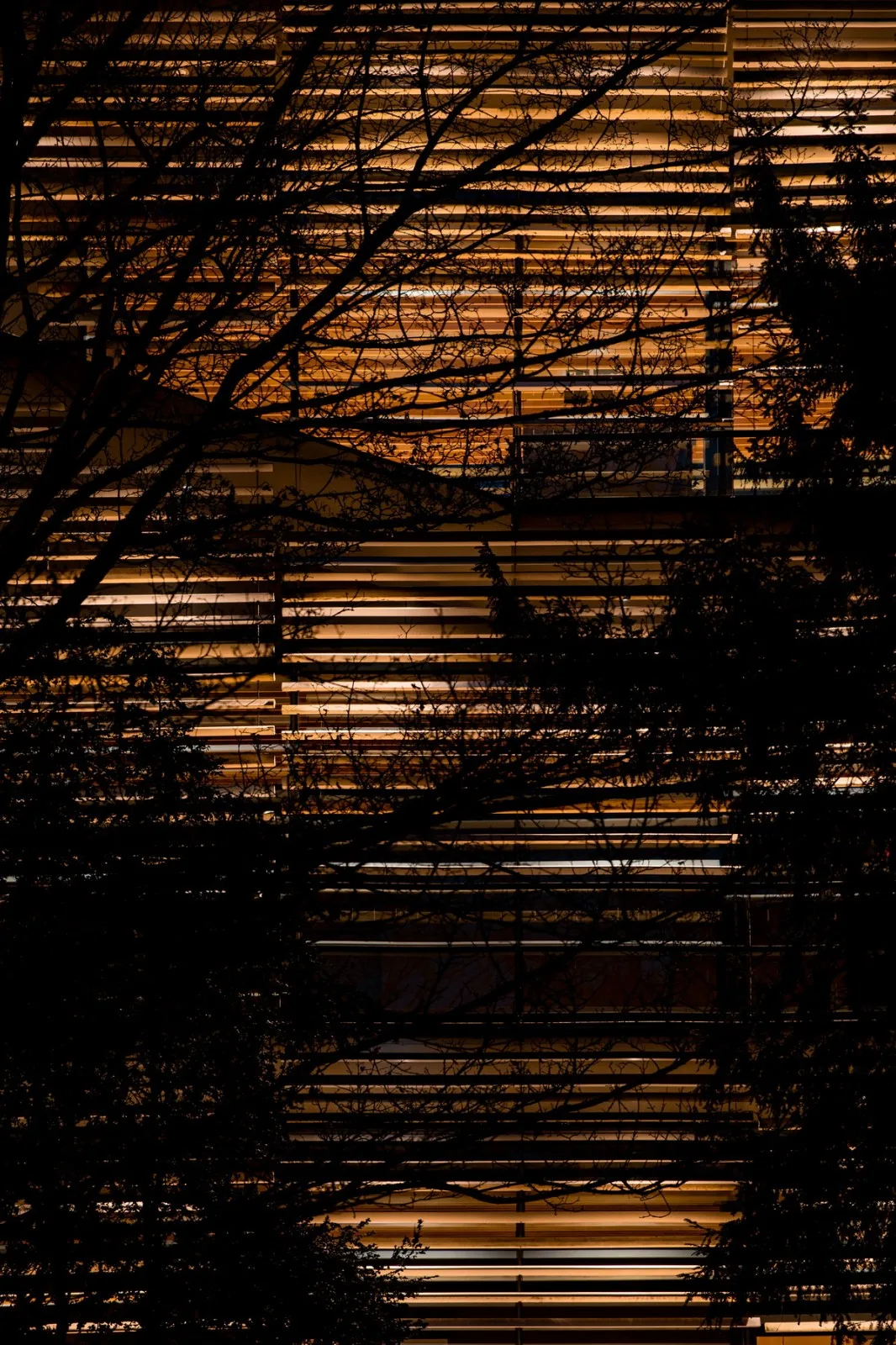 BIM Architecture | Albert Kahn Museum/Kengo Kuma Architecture Urban Design Firm