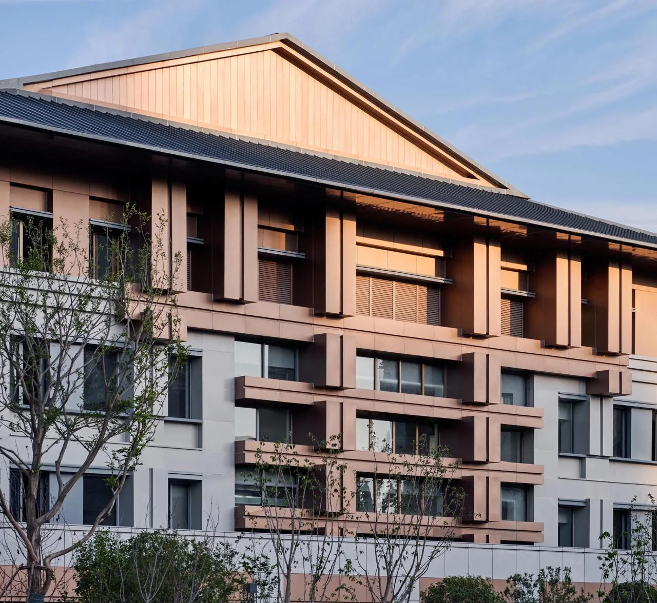 BIM Architecture | Meeting the Stars in the Sea of Yao - Hefei Yizhongdong Campus/Zhejiang University Architectural Design and Research Institute
