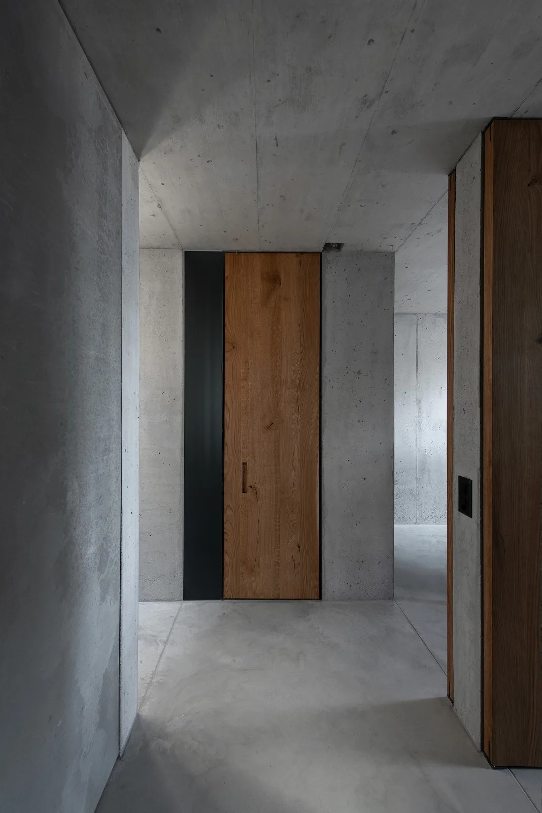 BIM Architecture | San Nazzaro Residential/Wespi de Meuron Romeo Architects