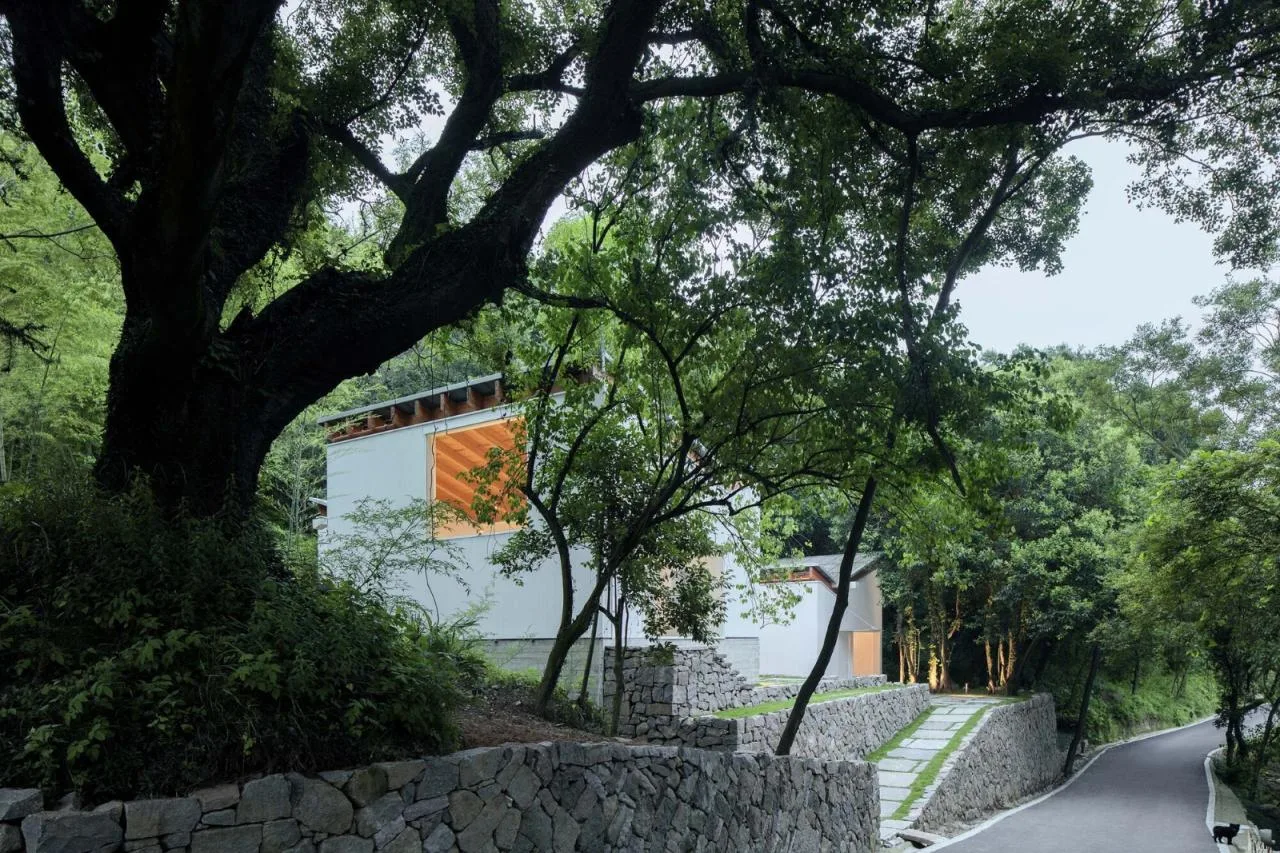 BIM Architecture | Dinghai Taifang/Jiushe Construction Studio