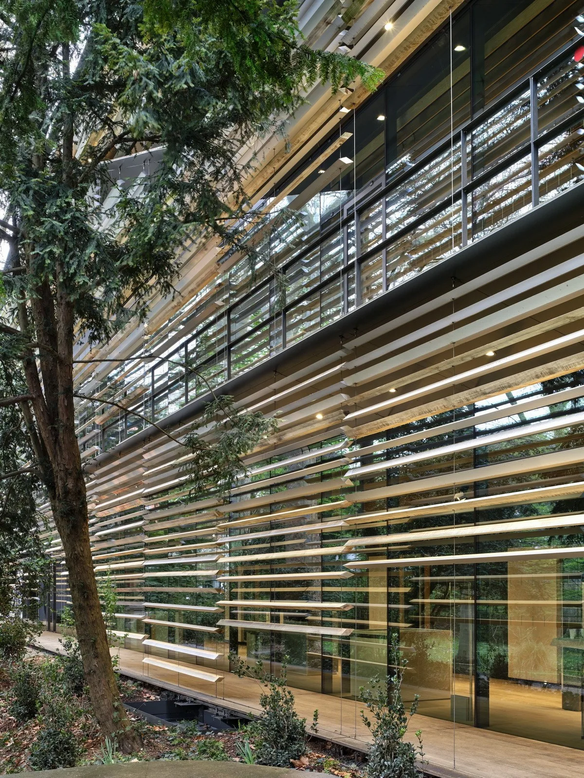 BIM Architecture | Albert Kahn Museum/Kengo Kuma Architecture Urban Design Firm