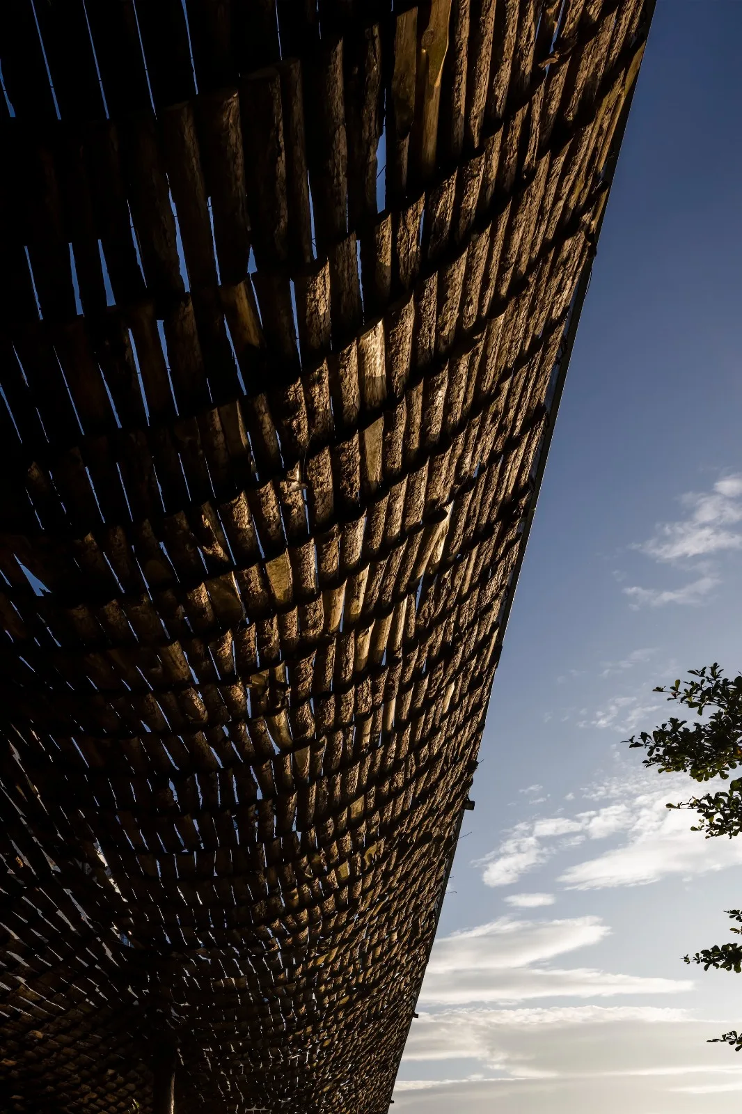BIM Architecture | Faint Look at the Sky, Ruan's Coffee/The Bloom