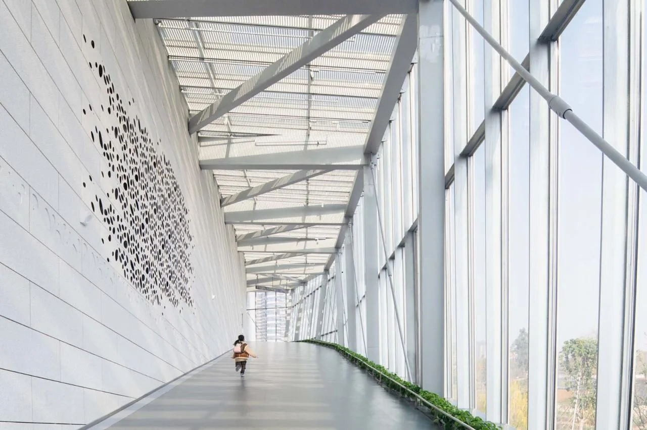 BIM Architecture | Chengdu Natural History Museum/Pelli Clarke& Partners+China Southwest Architectural Design and Research Institute