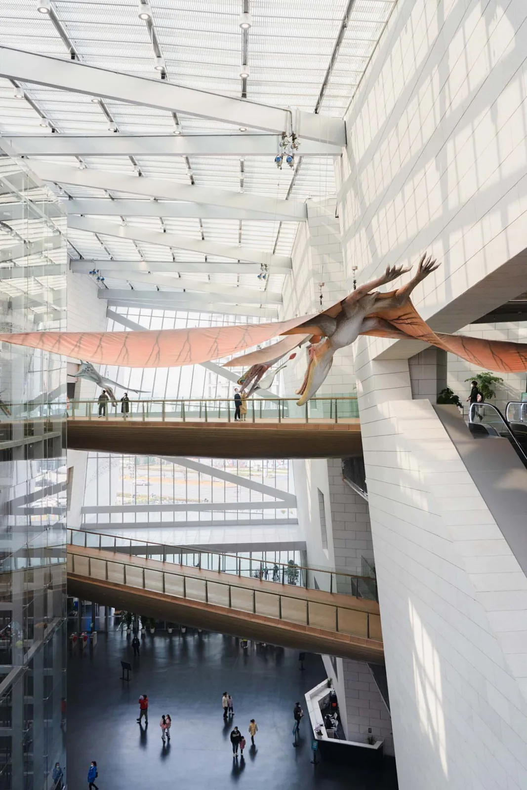 BIM Architecture | Chengdu Natural History Museum/Pelli Clarke& Partners+China Southwest Architectural Design and Research Institute