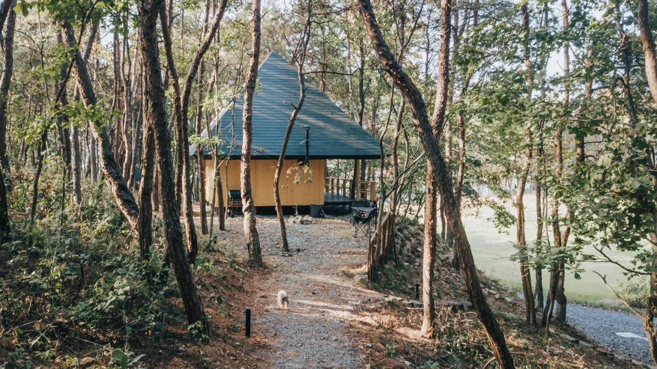 BIM Architecture | Wilderness Home # 96 # - Pyramid/Each World+Advanced Building Laboratory AaL