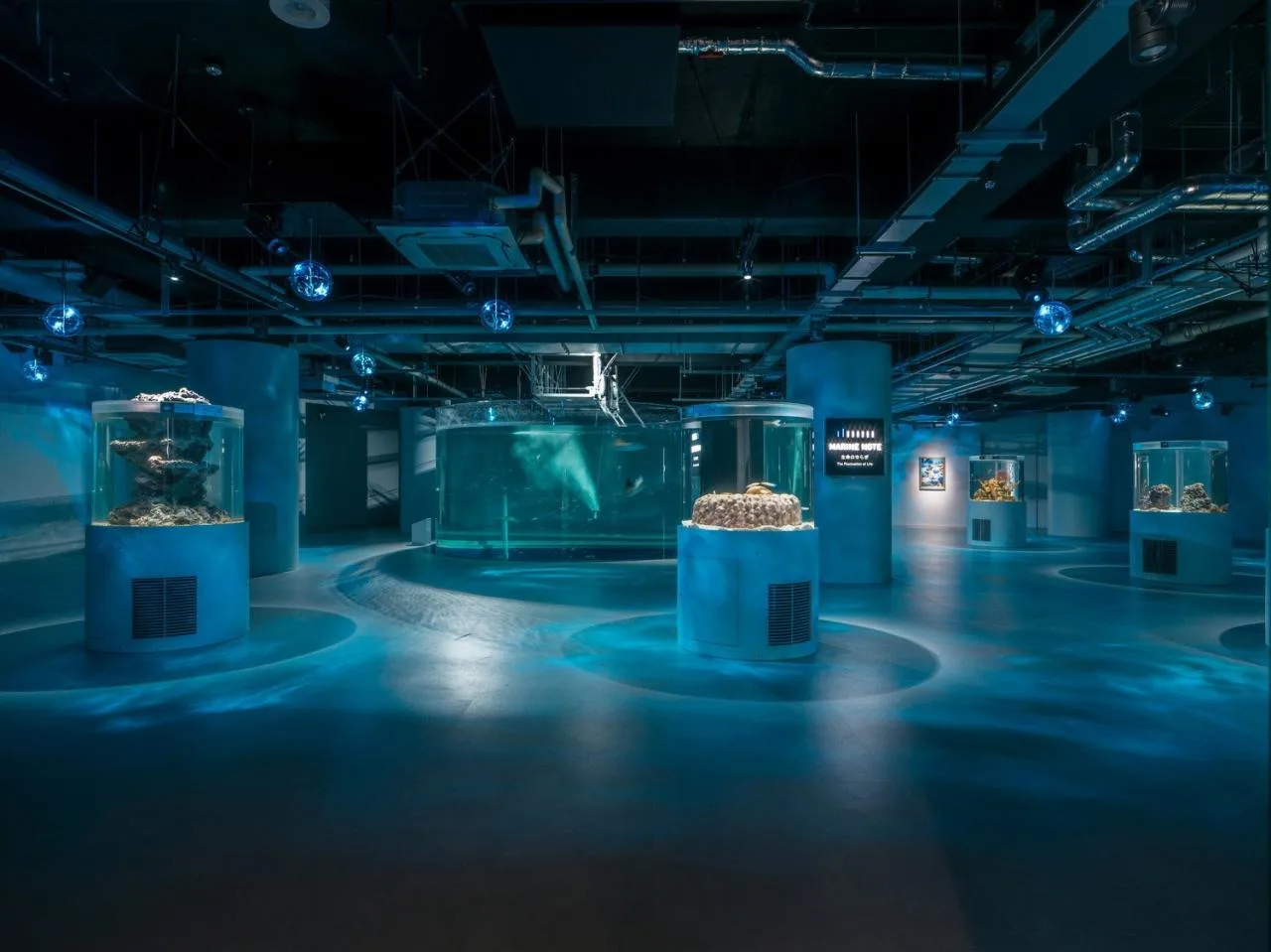 BIM Architecture | Kobe Port Museum, Sea Sand Concrete/Dacheng Construction
