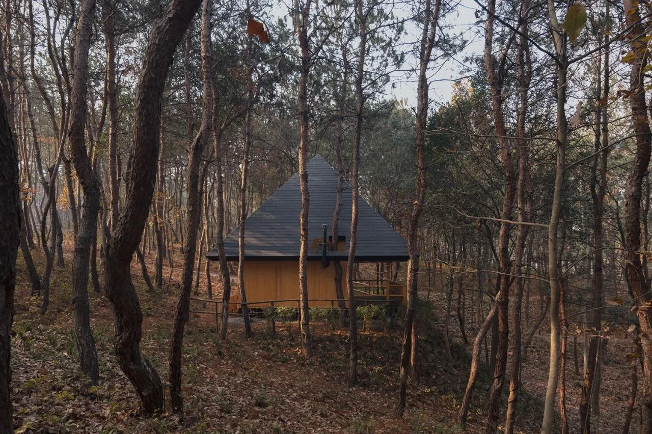 BIM Architecture | Wilderness Home # 96 # - Pyramid/Each World+Advanced Building Laboratory AaL