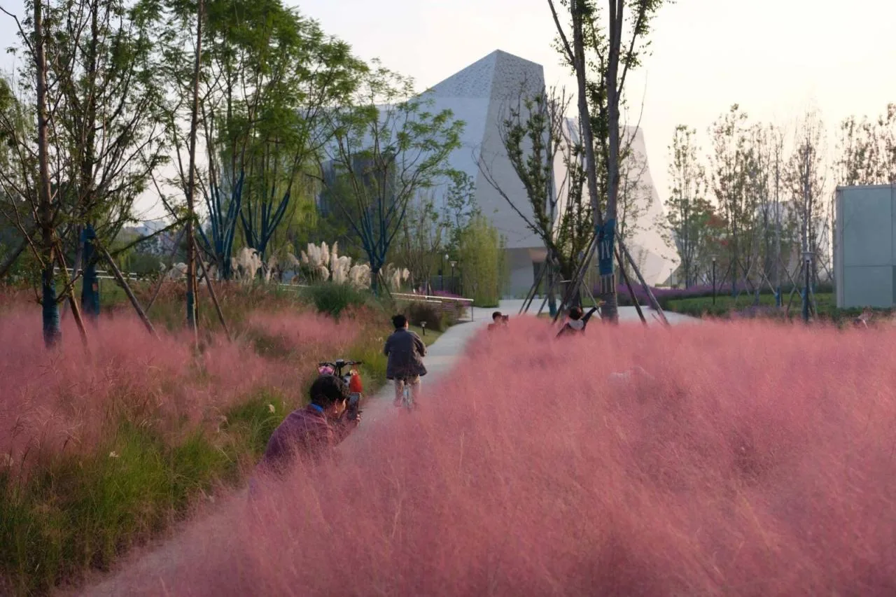 BIM Architecture | Chengdu Natural History Museum/Pelli Clarke& Partners+China Southwest Architectural Design and Research Institute