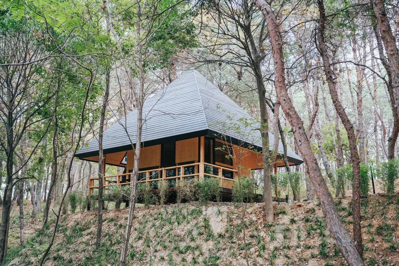 BIM Architecture | Wilderness Home # 96 # - Pyramid/Each World+Advanced Building Laboratory AaL