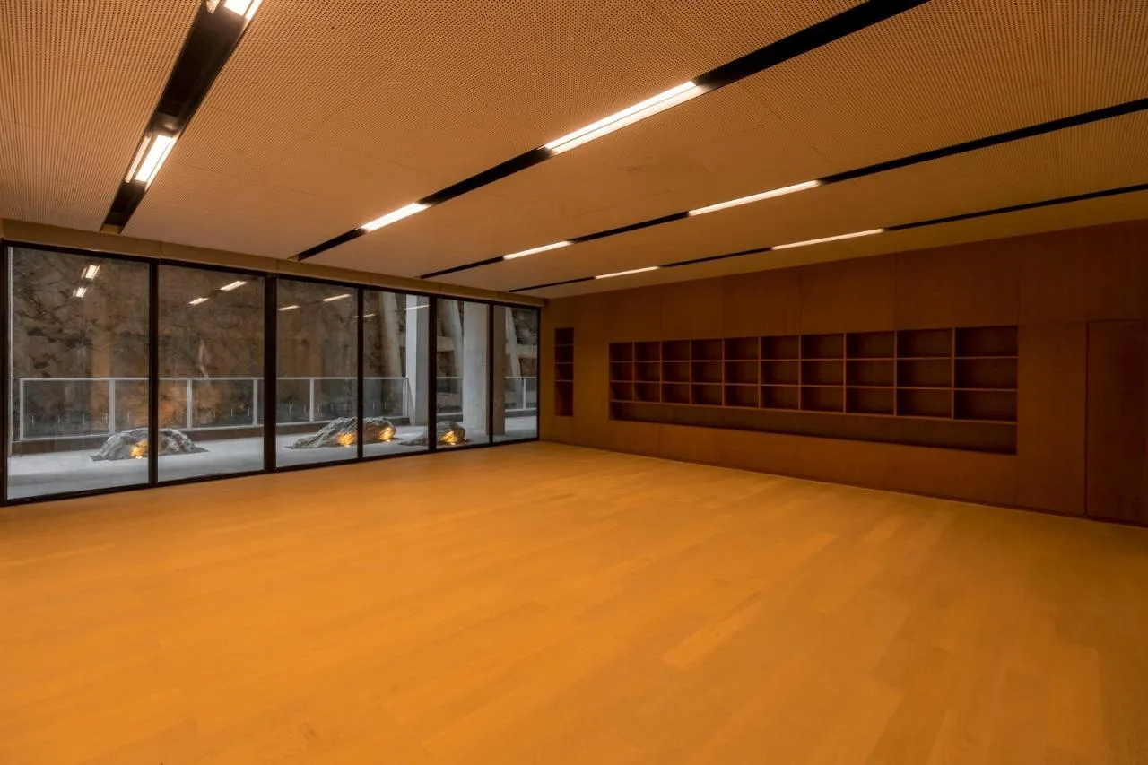 BIM Architecture | Luohu Future Primary and Secondary School/Hibiya Design+Children's City+Pure Practice