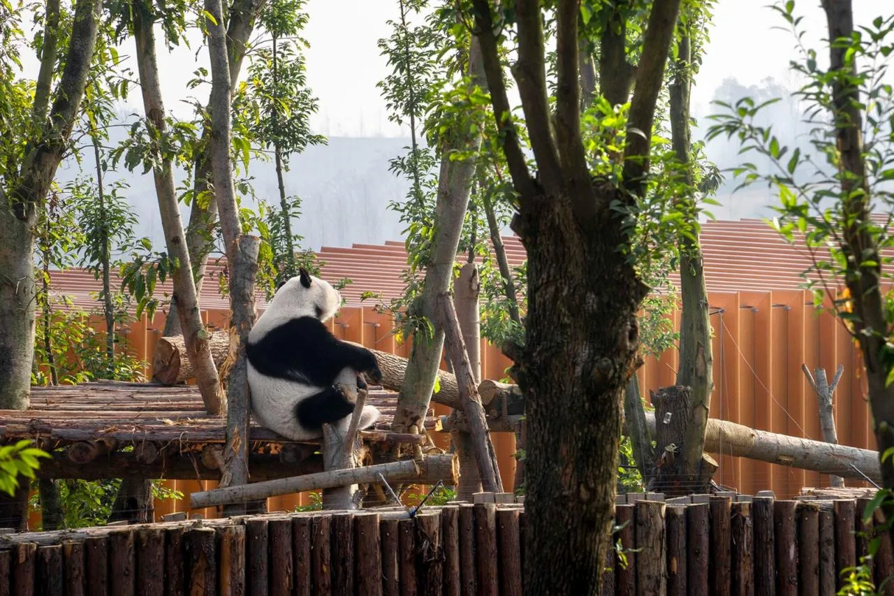 BIM Architecture | Chengdu Panda New House: Natural Habitat in the Valley and Forest/EID Arch Jiang Ping Studio