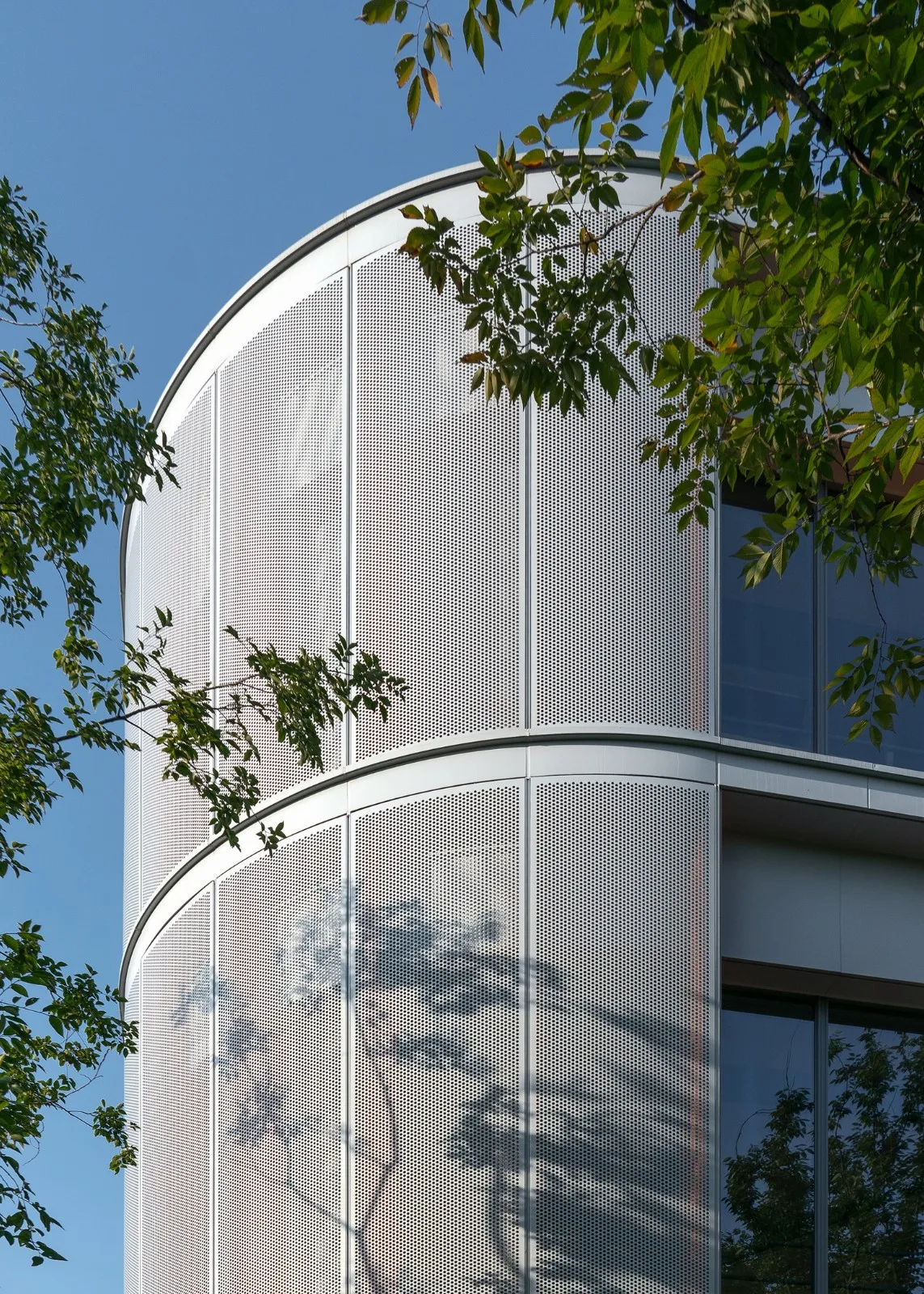 BIM Architecture | Dialogue with Childlike Hearts, Natural Paradise: Hangzhou Jiangnan Experimental School Education Group Jianghui Primary School/Zhejiang University Architectural Design and Research Institute