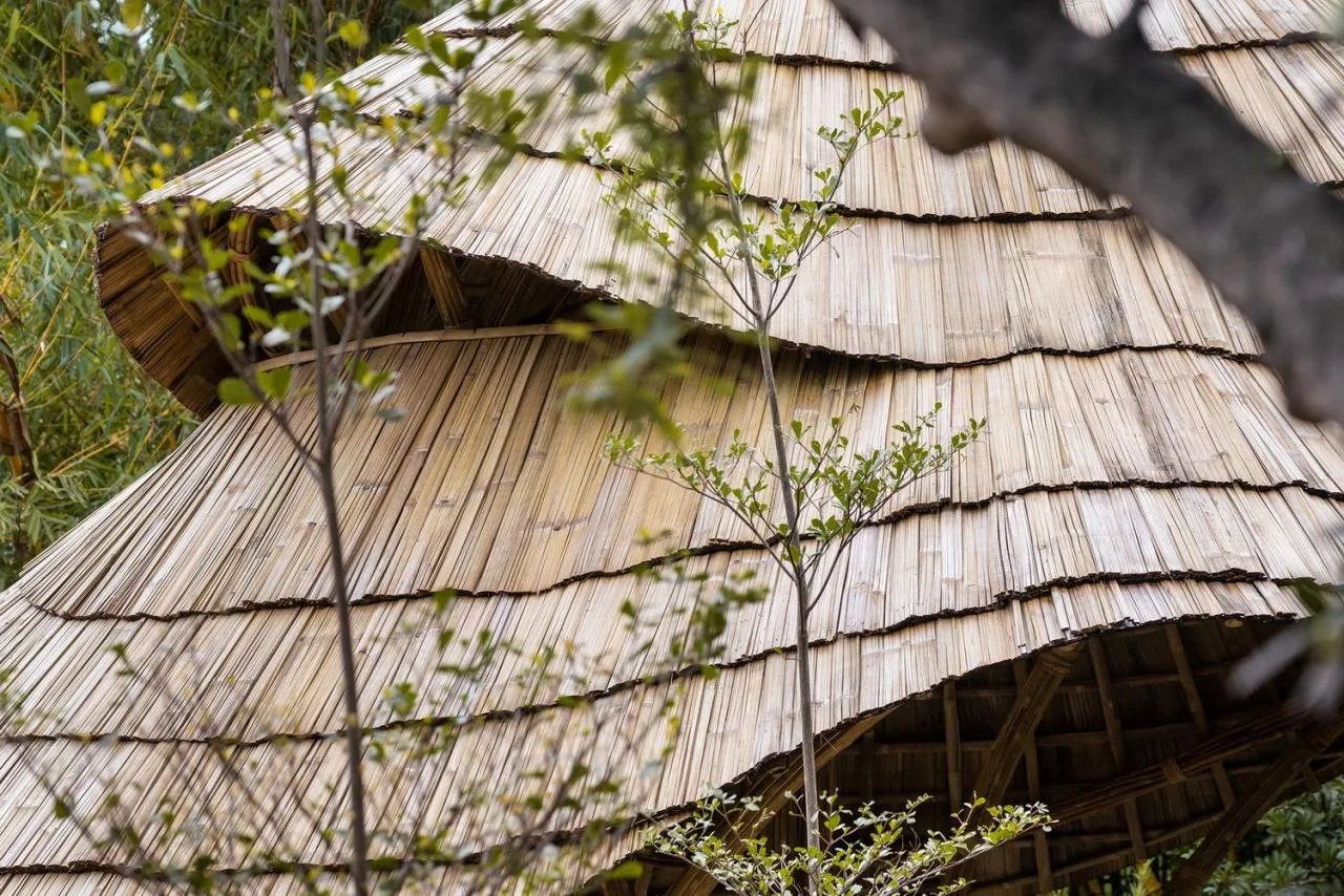 BIM Architecture | Meditation Pavilion/STUDIOARO