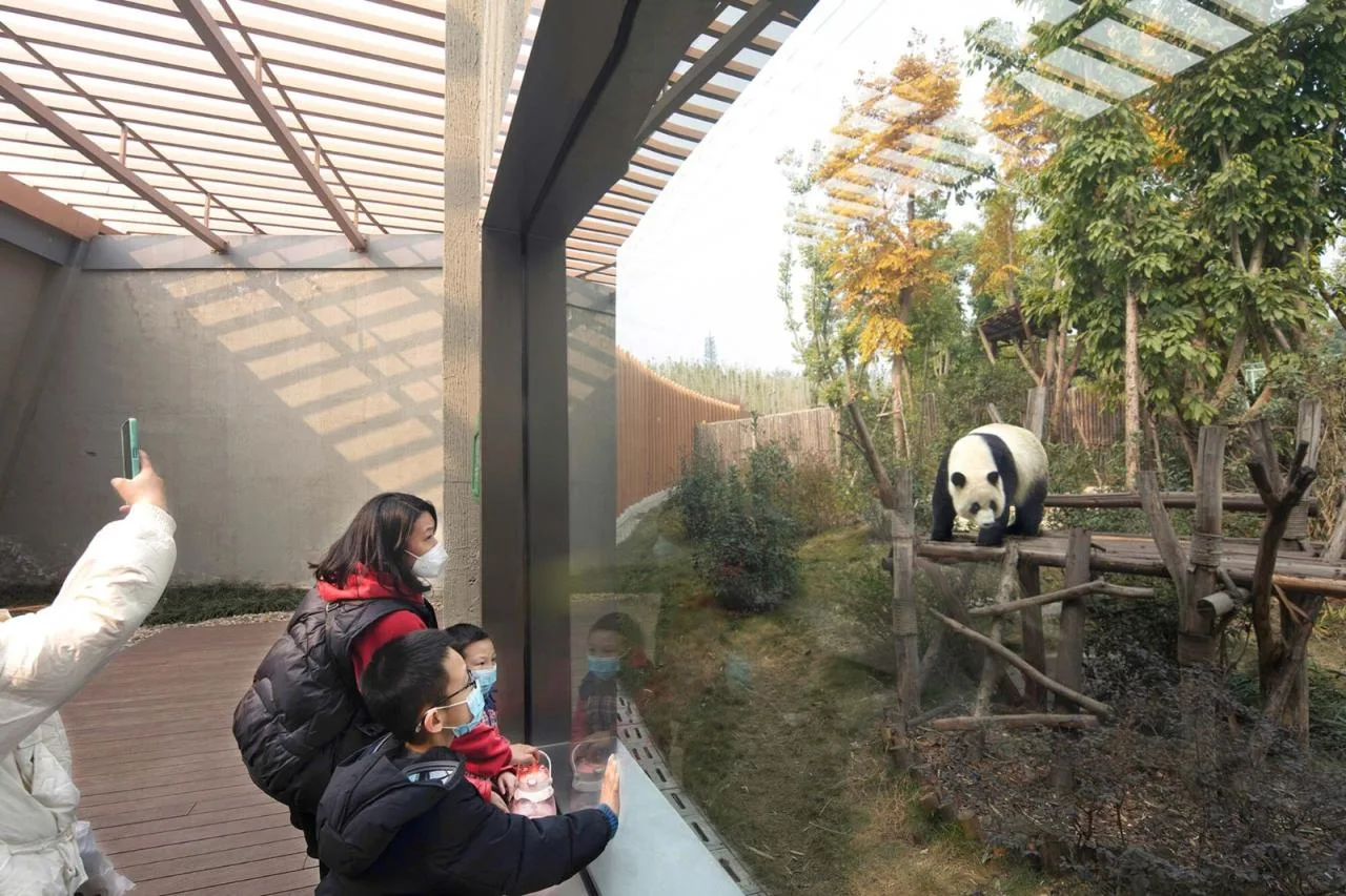 BIM Architecture | Chengdu Panda New House: Natural Habitat in the Valley and Forest/EID Arch Jiang Ping Studio