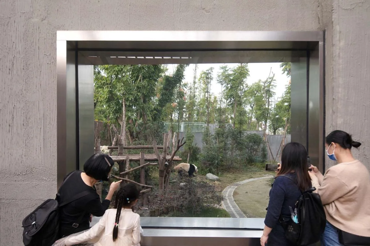 BIM Architecture | Chengdu Panda New House: Natural Habitat in the Valley and Forest/EID Arch Jiang Ping Studio