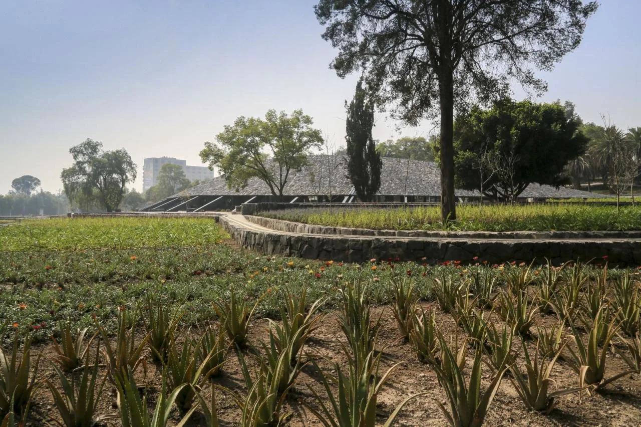 BIM Architecture | Covering the Earth, Chapultepec Environmental and Cultural Center/ERREqERRE Arquitectura y Urbanismo+Taller ID