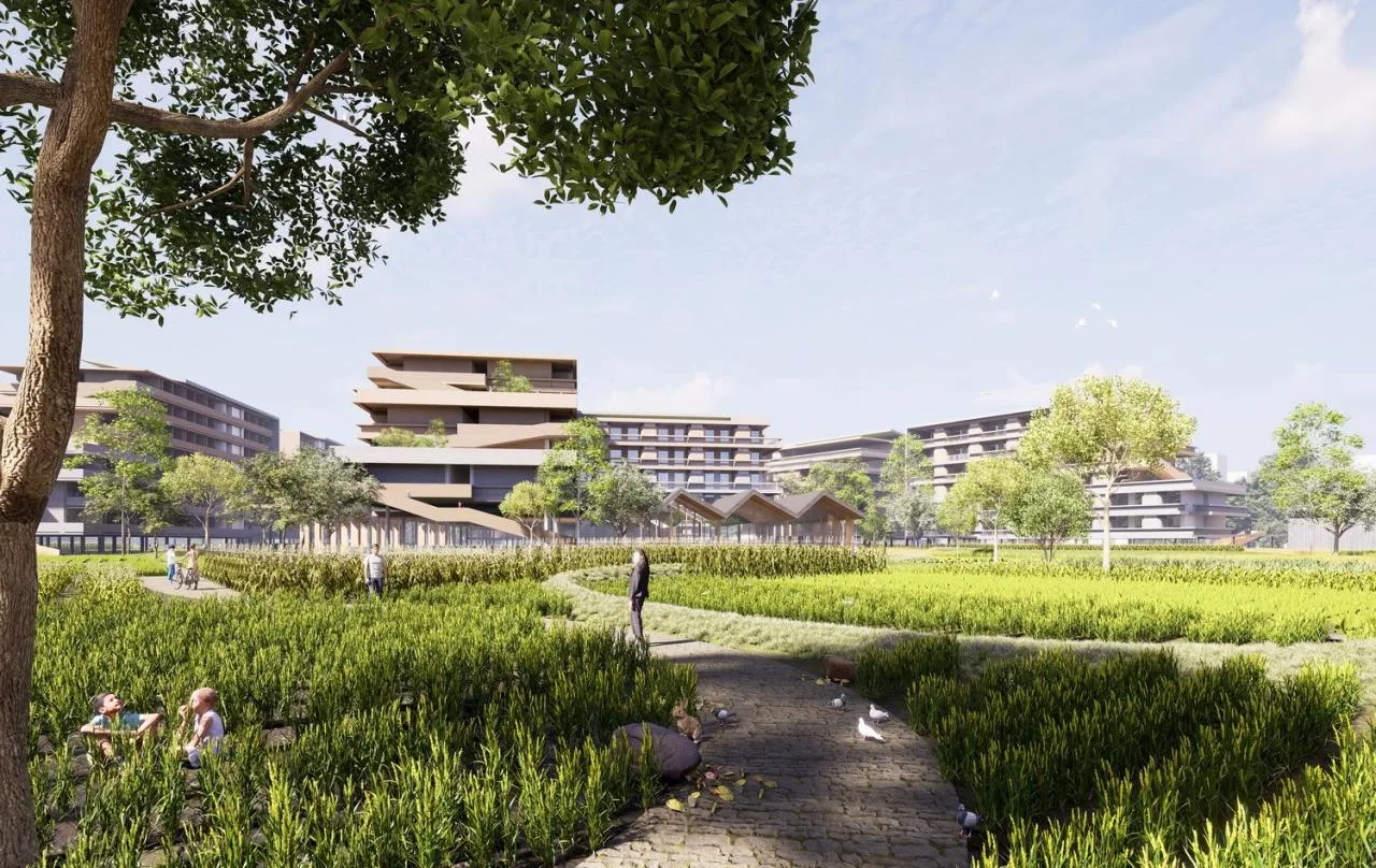 BIM Architecture | Key School Scheme Design in the Bay Area: Shunde School of Foshan No.1 Middle School/AG Huichuang