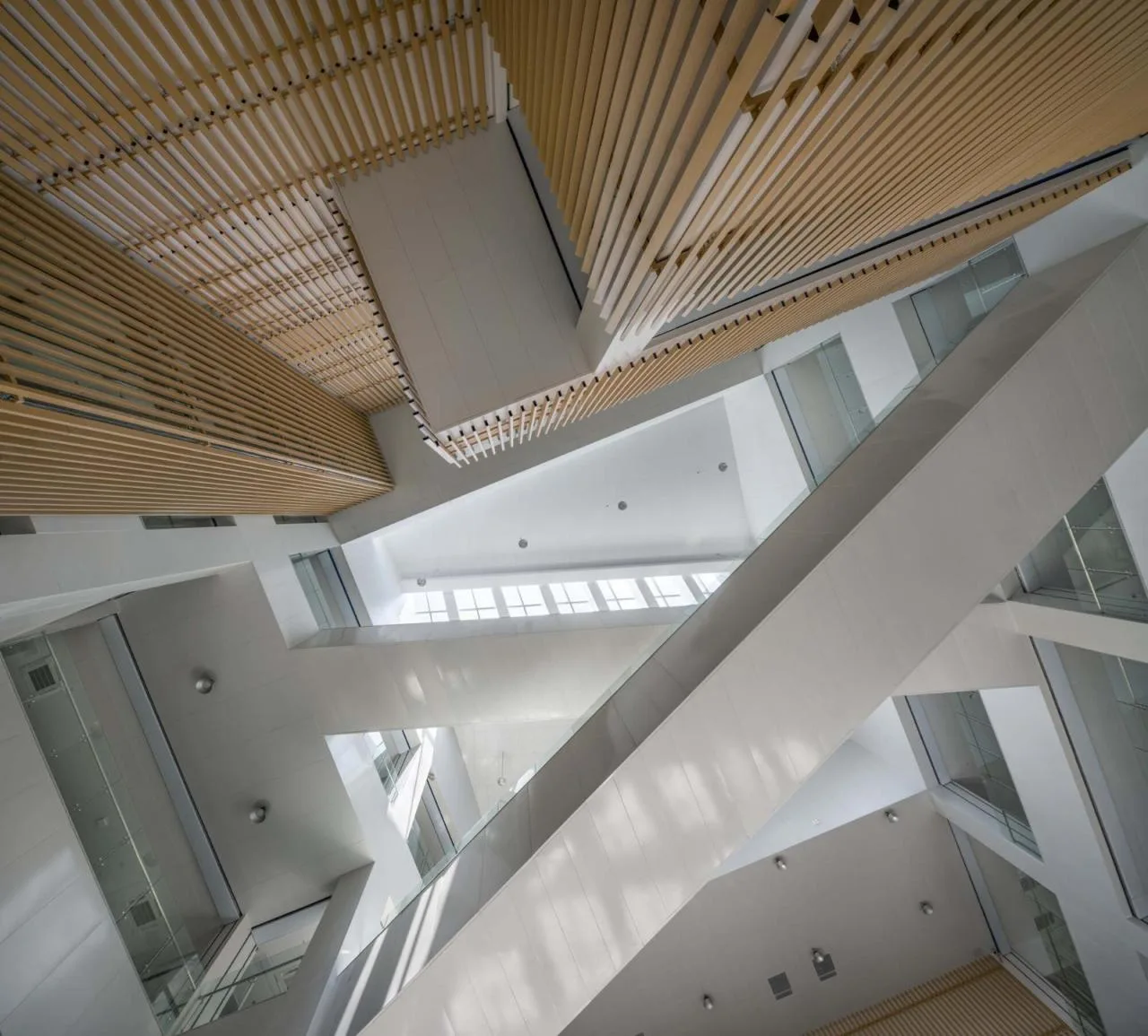 BIM Architecture | Yuhua Campus of Nanjing Zhonghua Middle School/Architectural Design and Research Institute of Southeast University
