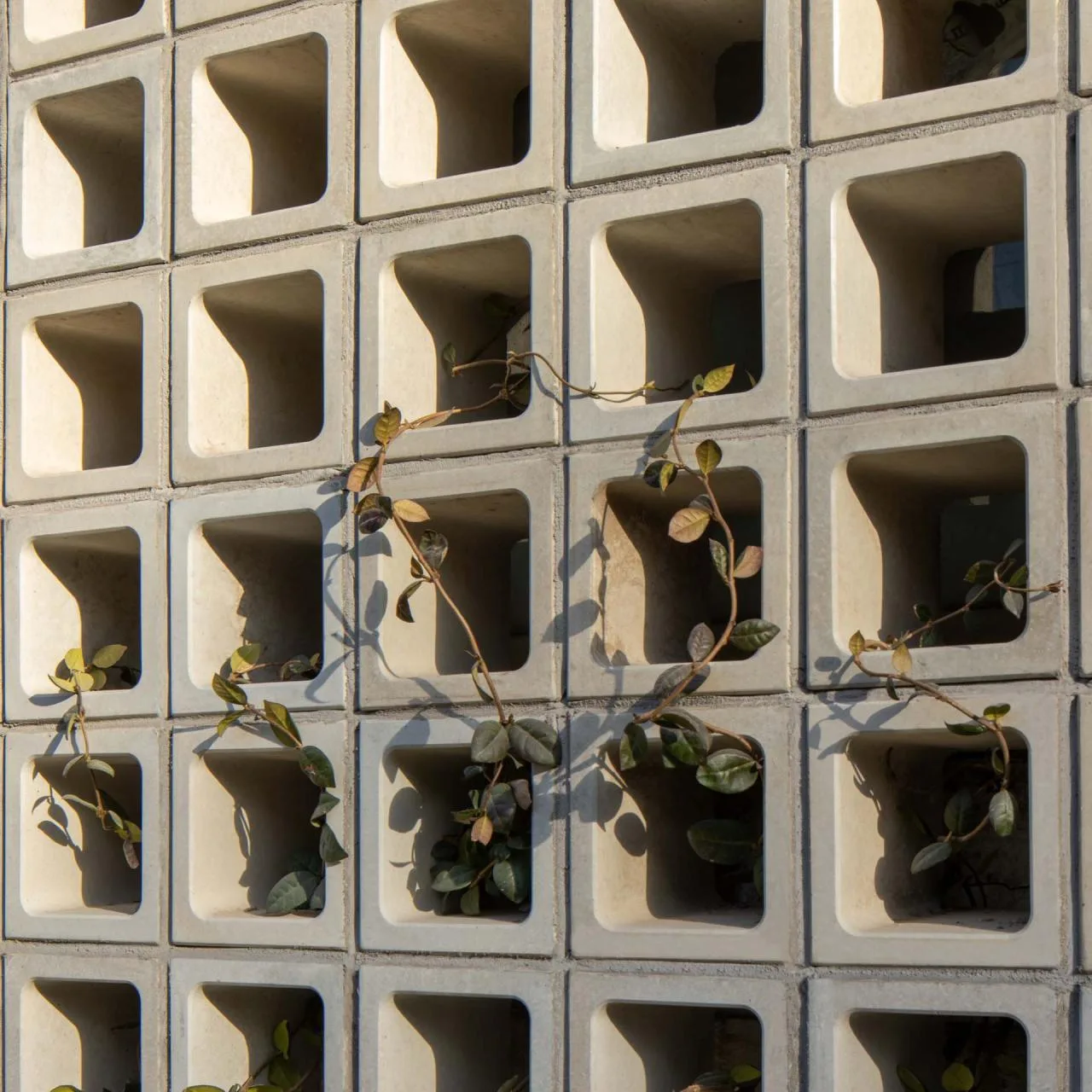 BIM Architecture | Fudi Warehouse Renovation/Say Architects