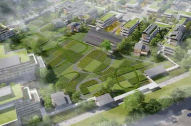 BIM Architecture: Key School Design for Shunde Campus of Foshan No.1 Middle School by AG Huichuang-BIM WORLD