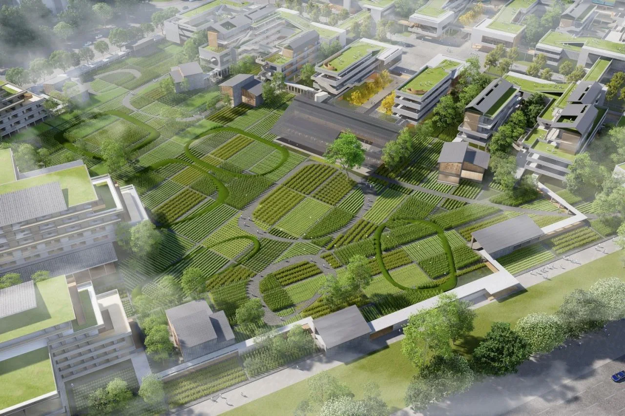 BIM Architecture | Key School Scheme Design in the Bay Area: Shunde School of Foshan No.1 Middle School/AG Huichuang