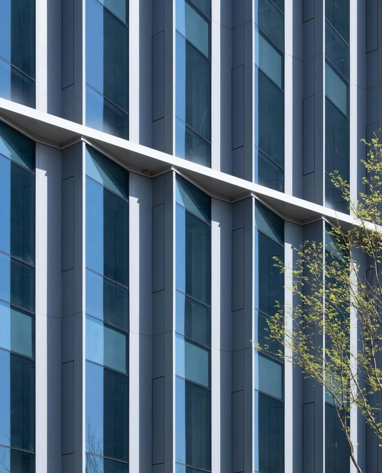 BIM Architecture | Hikvision Chengdu Science and Technology Park/East China Architectural Design and Research Institute