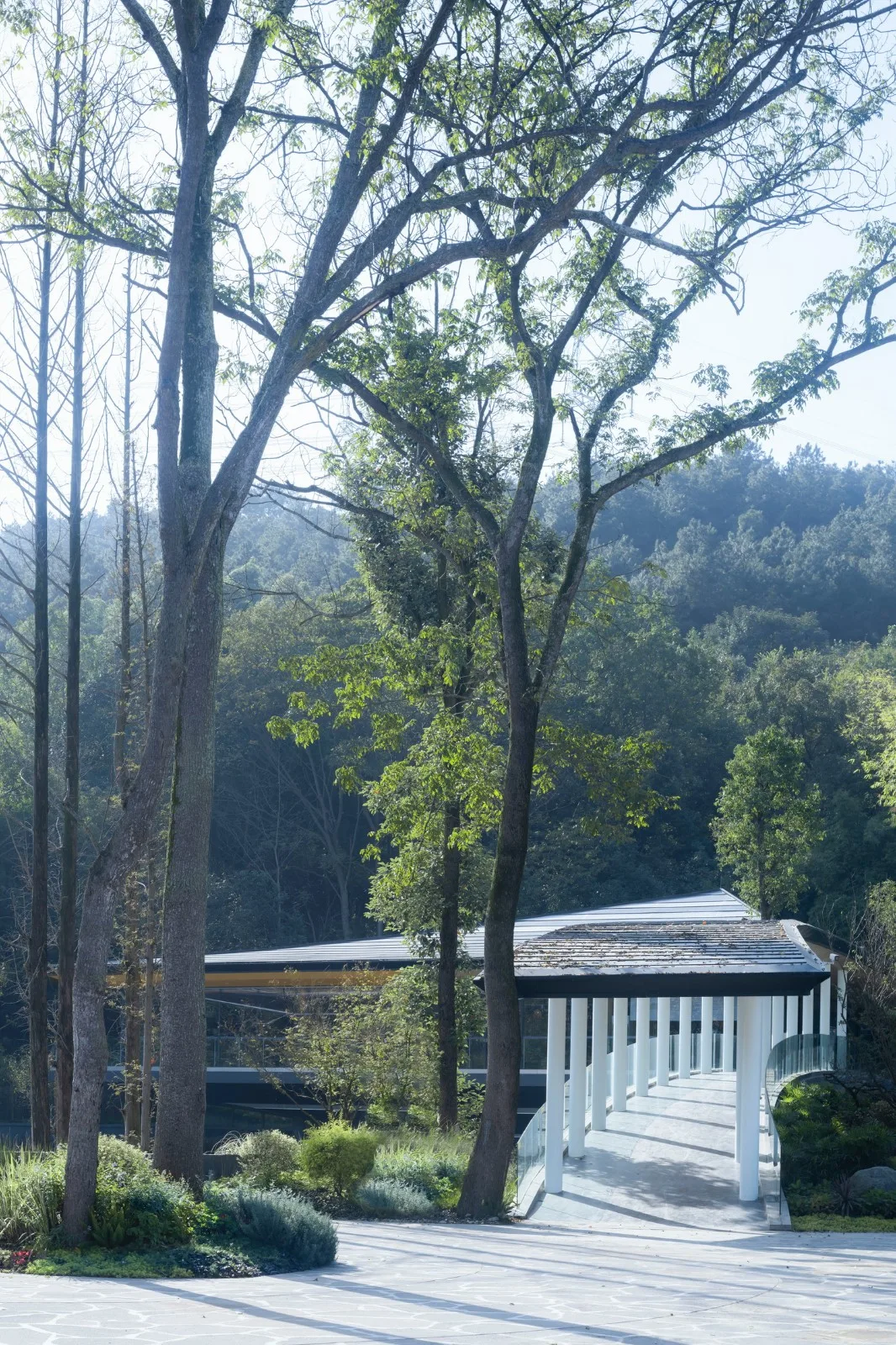 BIM Architecture | Interpretation of Bamboo Culture Imagery: Chongzhou Zhuyi Village Tourist Center/Xiaoyin Architecture