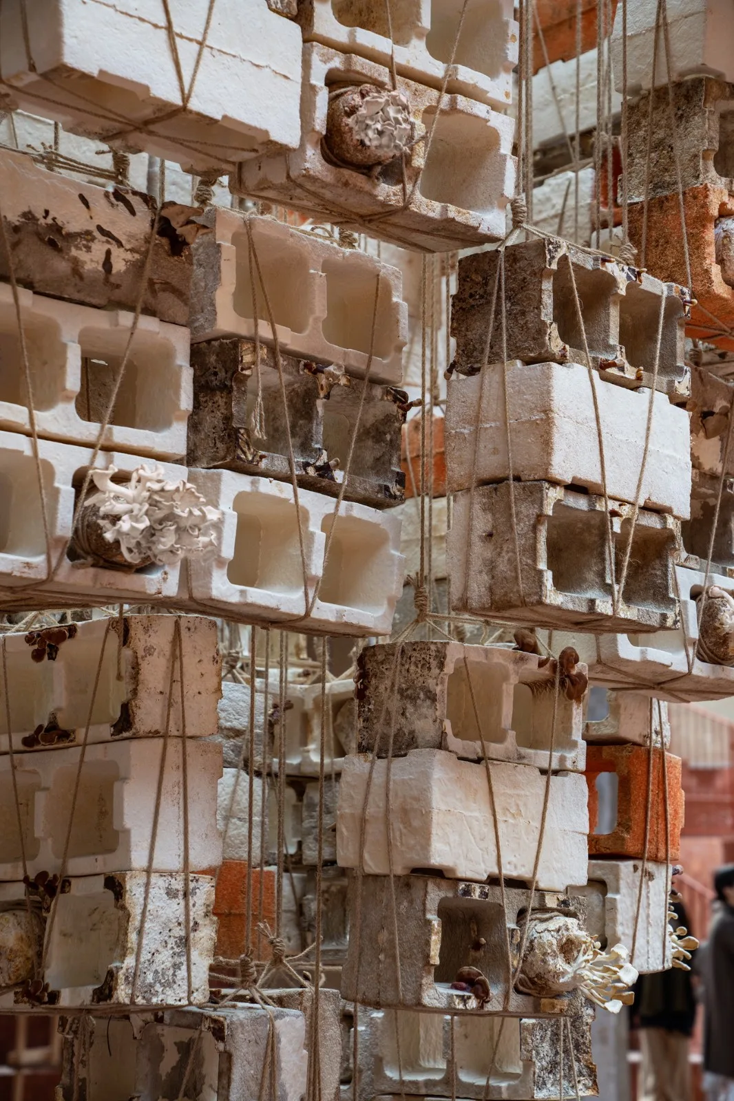BIM Architecture | Reverse Construction: Mushroom Brick Pyramid/Lu Yichen, Link Arc Architecture Firm