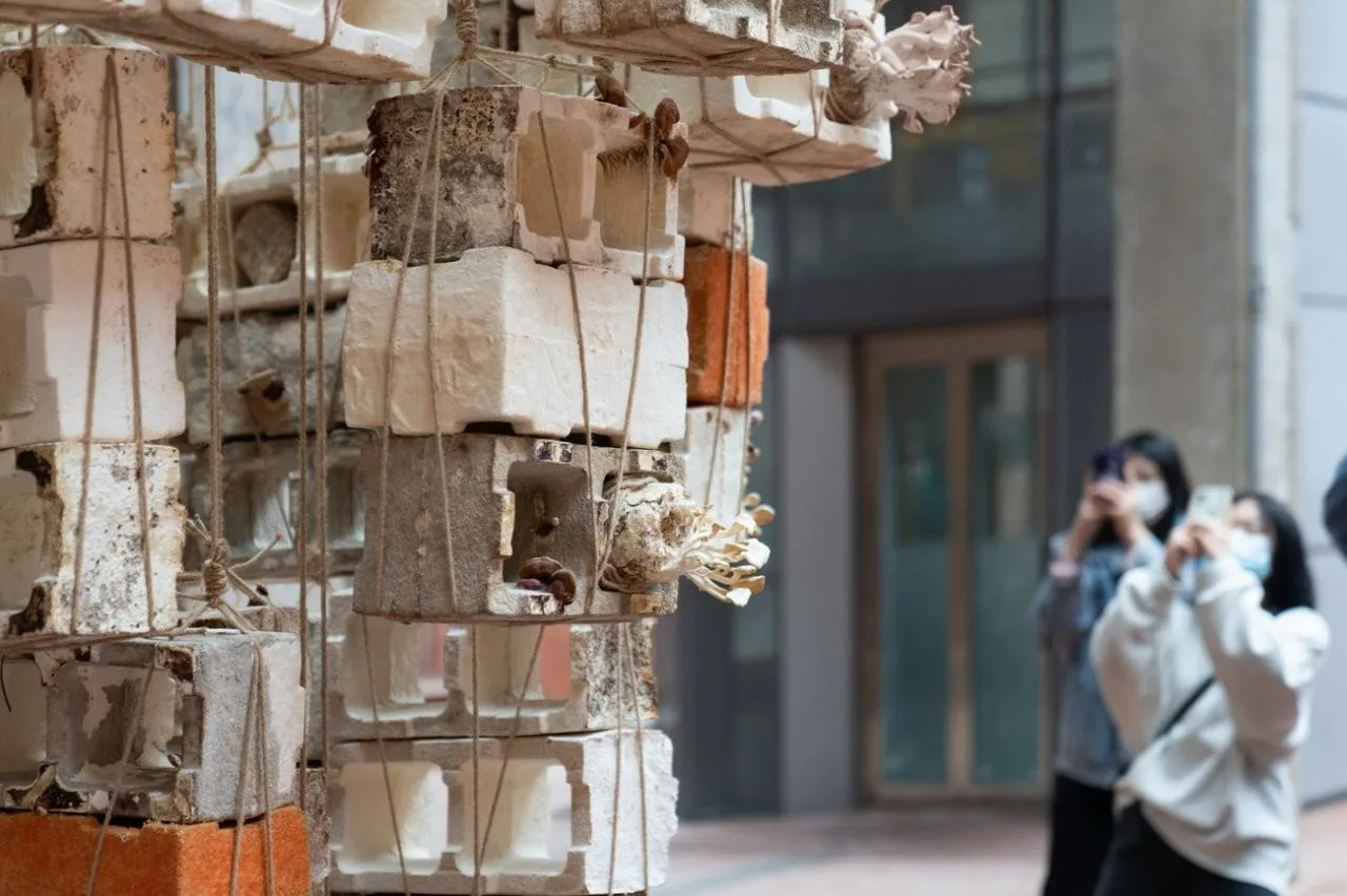BIM Architecture | Reverse Construction: Mushroom Brick Pyramid/Lu Yichen, Link Arc Architecture Firm