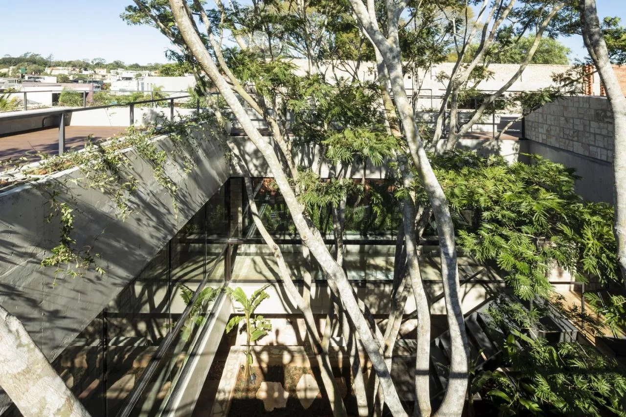 BIM Architecture | Flow Space, Yvyraju Home/OMCM arquitectos