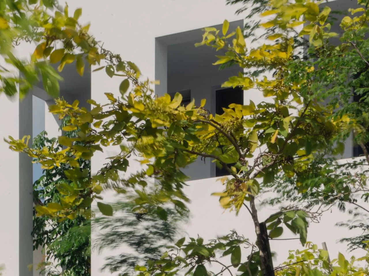 BIM Architecture | Enclosure/Asoldplan