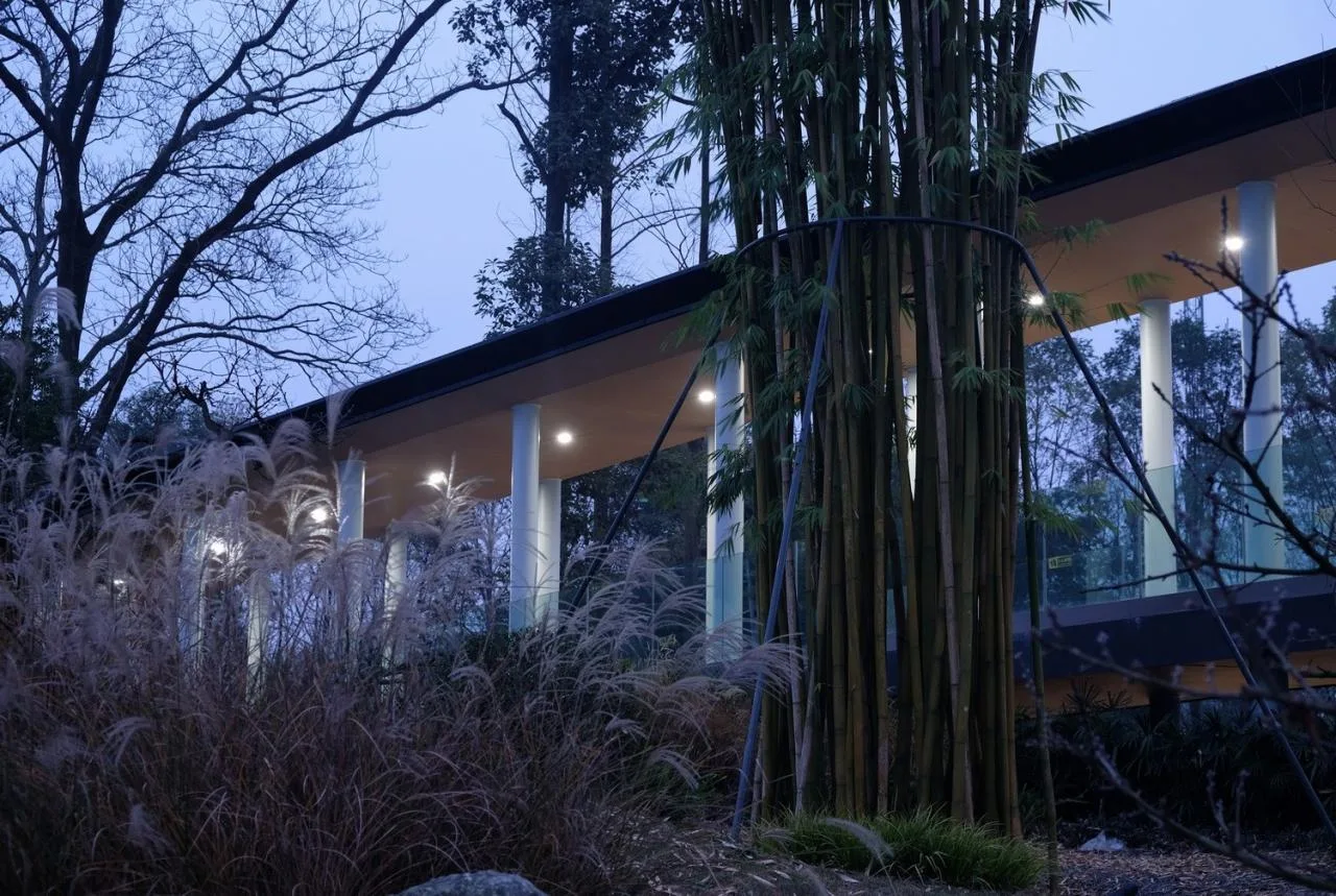 BIM Architecture | Interpretation of Bamboo Culture Imagery: Chongzhou Zhuyi Village Tourist Center/Xiaoyin Architecture