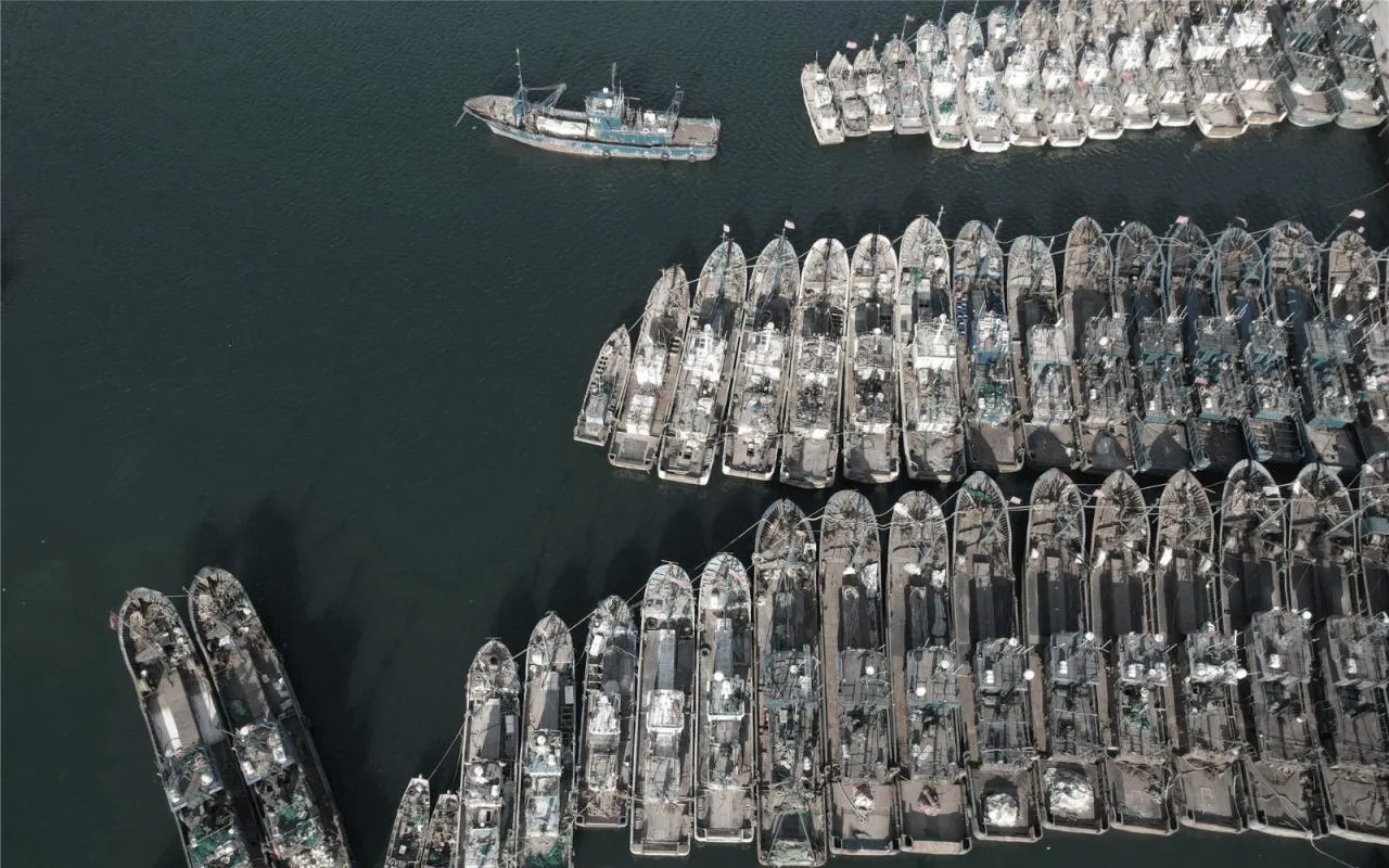 BIM Architecture | Qianshanjing Homestay: Fishing Boat Returns to Port, Qianshanjing/Chao Yu Design Firm