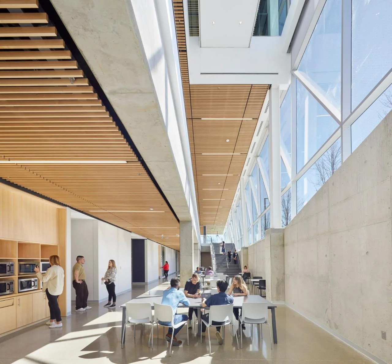 BIM Architecture | York University School of Continuing Education/Perkins&Associates; Will