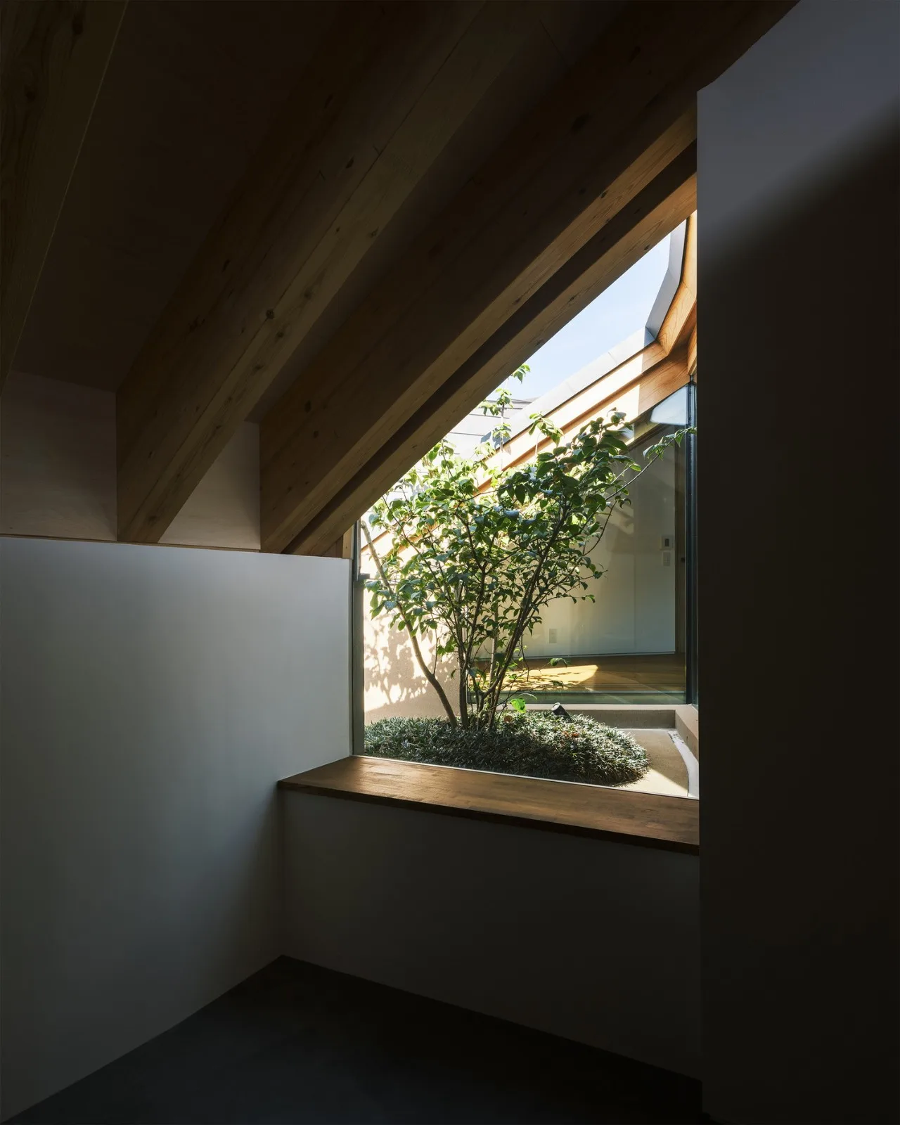BIM Architecture | Sky Plate/NKS Architects