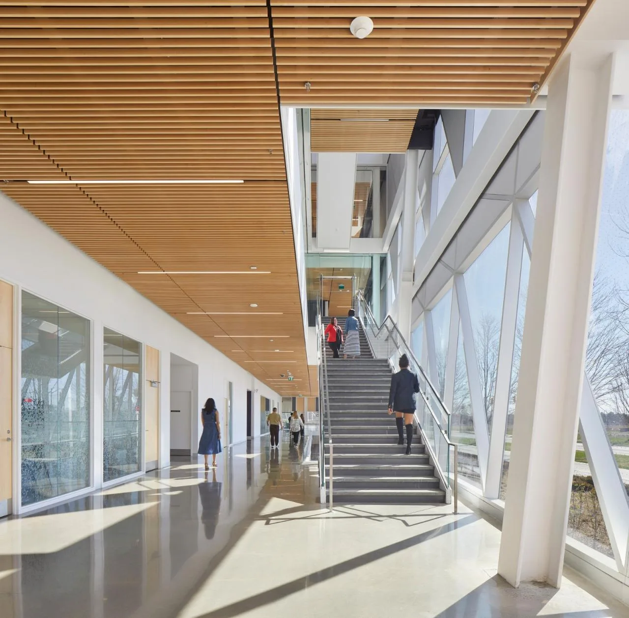 BIM Architecture | York University School of Continuing Education/Perkins&Associates; Will