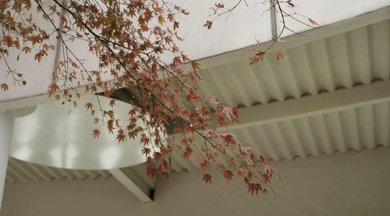 BIM Architecture | LOAM Porcelain House Coffee under the Green Maple Tree/Eight Wilderness Design