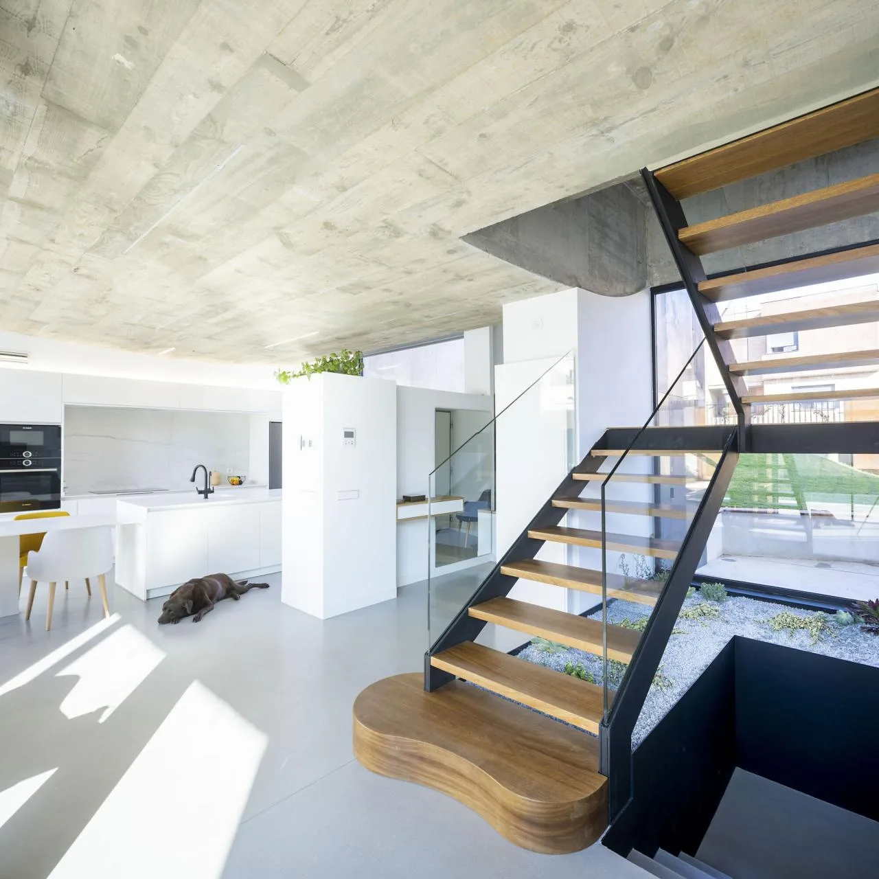 BIM Architecture | Concrete Shell, NAU Residential/MUKA Arquitectura