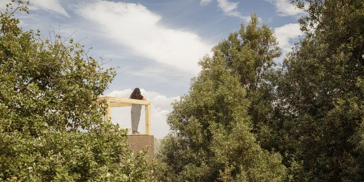 BIM Architecture | FLORA Observatory/IAAC