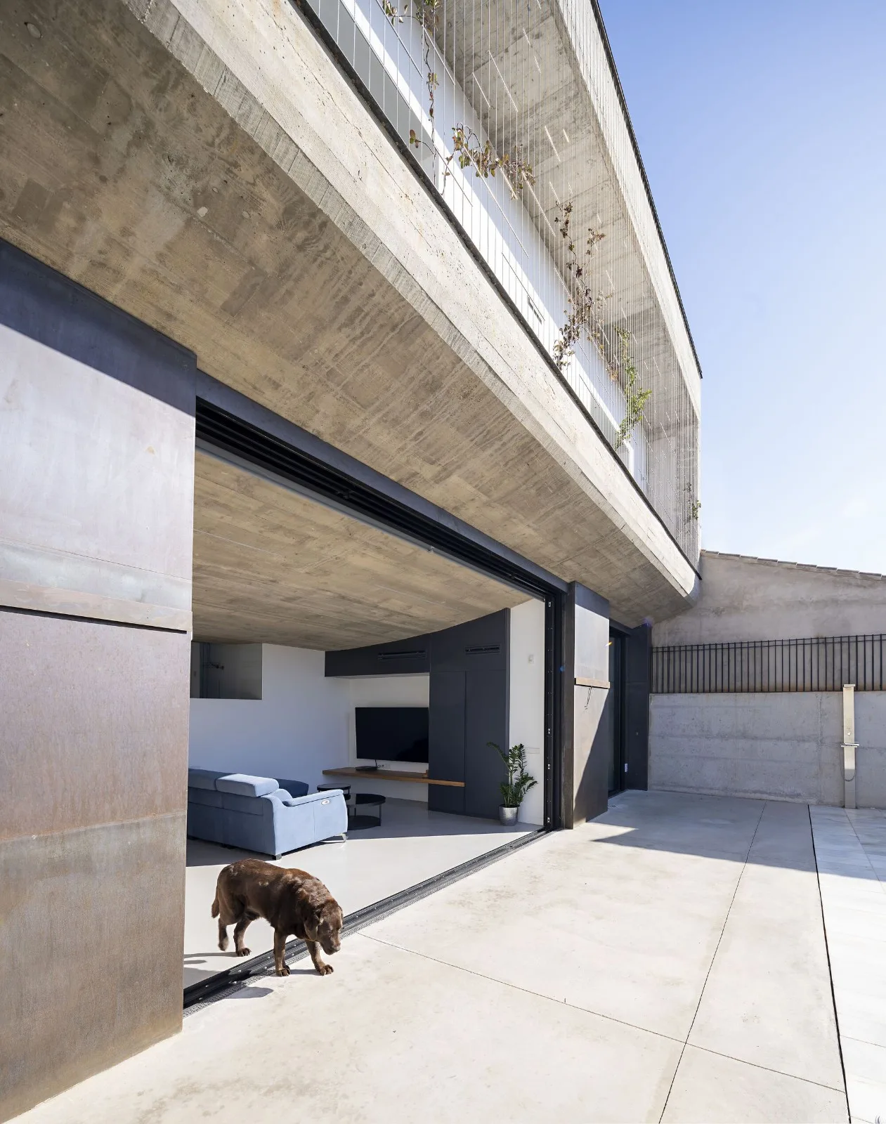 BIM Architecture | Concrete Shell, NAU Residential/MUKA Arquitectura
