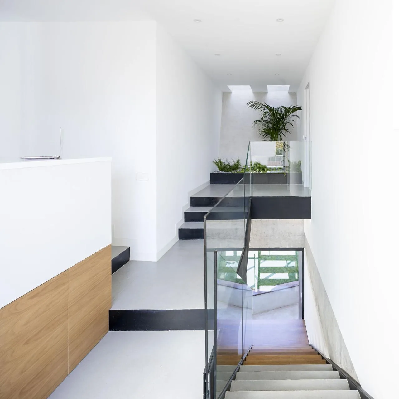 BIM Architecture | Concrete Shell, NAU Residential/MUKA Arquitectura